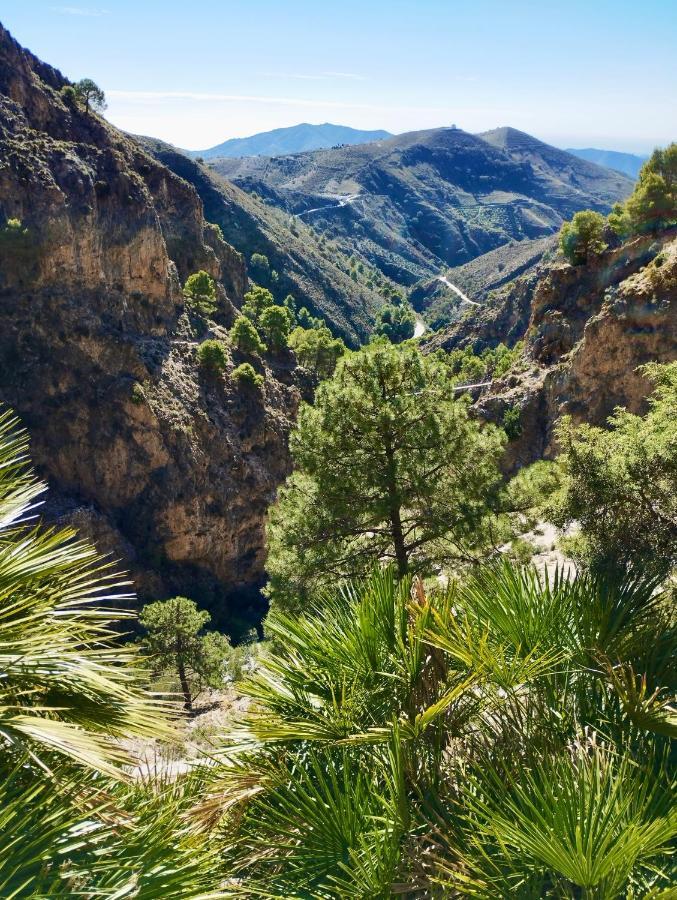 Casa Jardin Natural Седелья Экстерьер фото