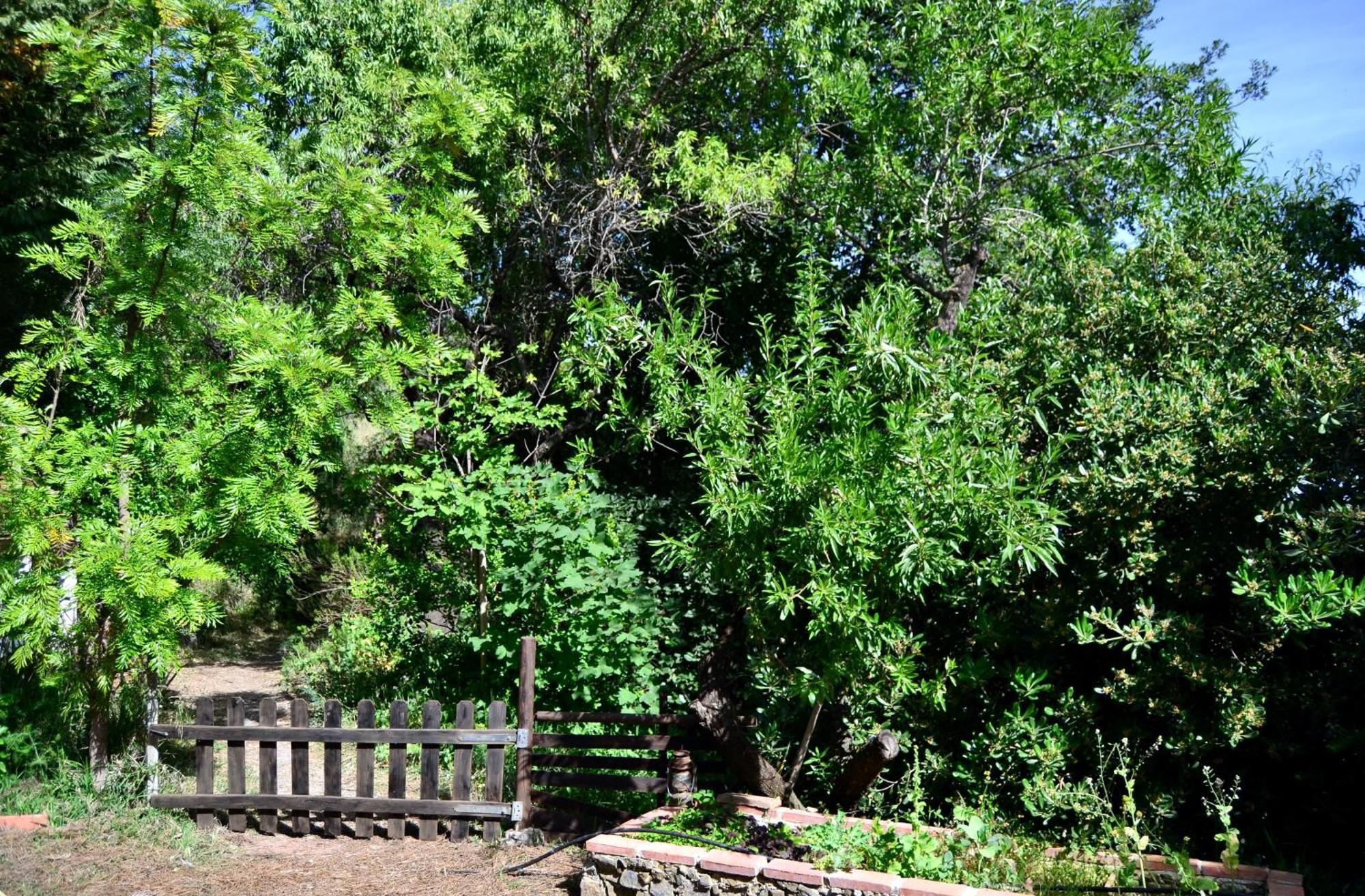Casa Jardin Natural Седелья Экстерьер фото
